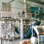 बाजरा स्वचालित पैकेजिंग मशीन की दो इकाइयां हमारे ग्राहक कारखाने में स्थापना और डिबगिंग को पूरा करती हैं