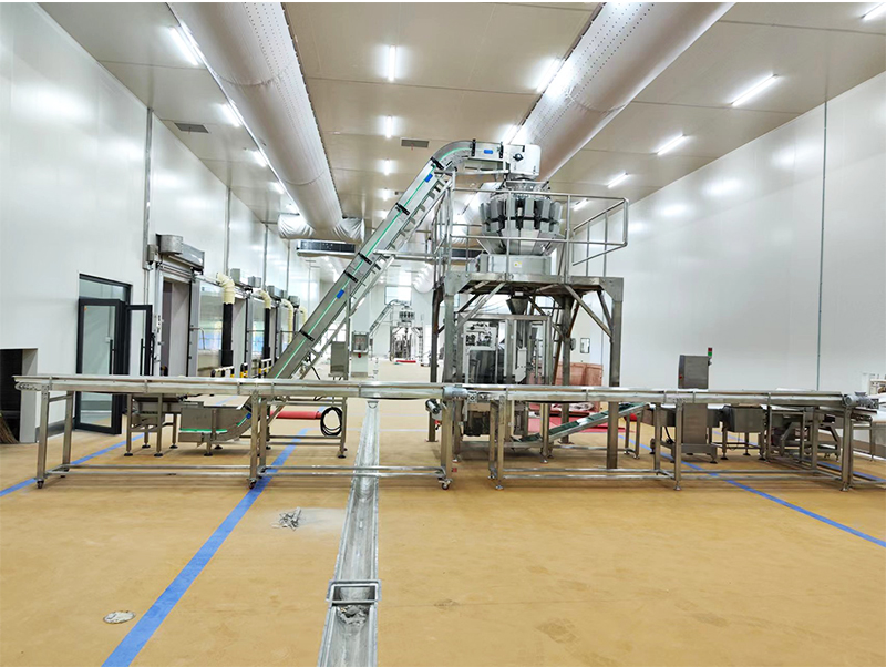 स्वत: पैकिंग मशीन जमे हुए भोजन